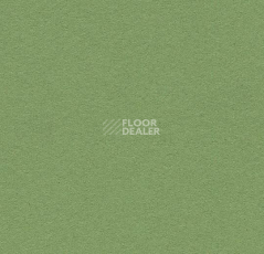 Линолеум Forbo Bulletin Board 2213 baby lettuce фото 1 | FLOORDEALER